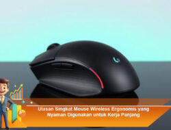 Ulasan Singkat Mouse Wireless Ergonomis yang Nyaman Digunakan untuk Kerja Panjang