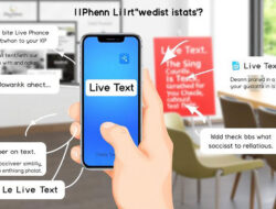 Panduan Menggunakan Fitur Live Text Di iPhone Untuk Menyalin Teks Foto